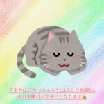 本日・木曜日は定休日です🙇